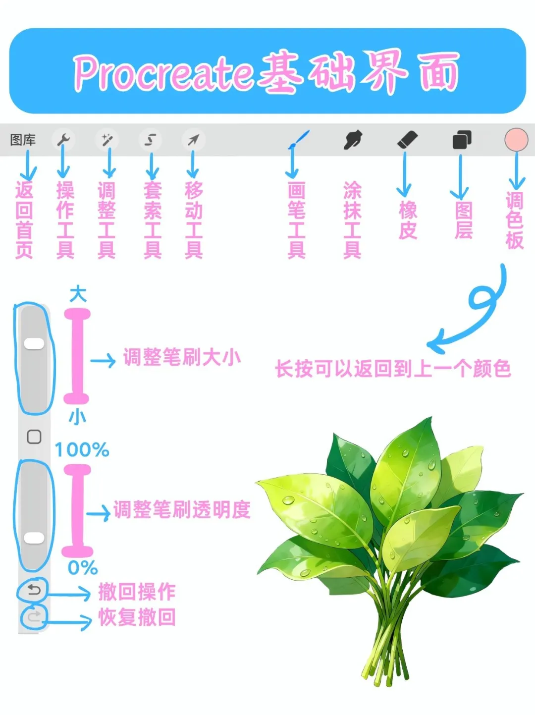 Procreate⭐软件基础操作教程！！