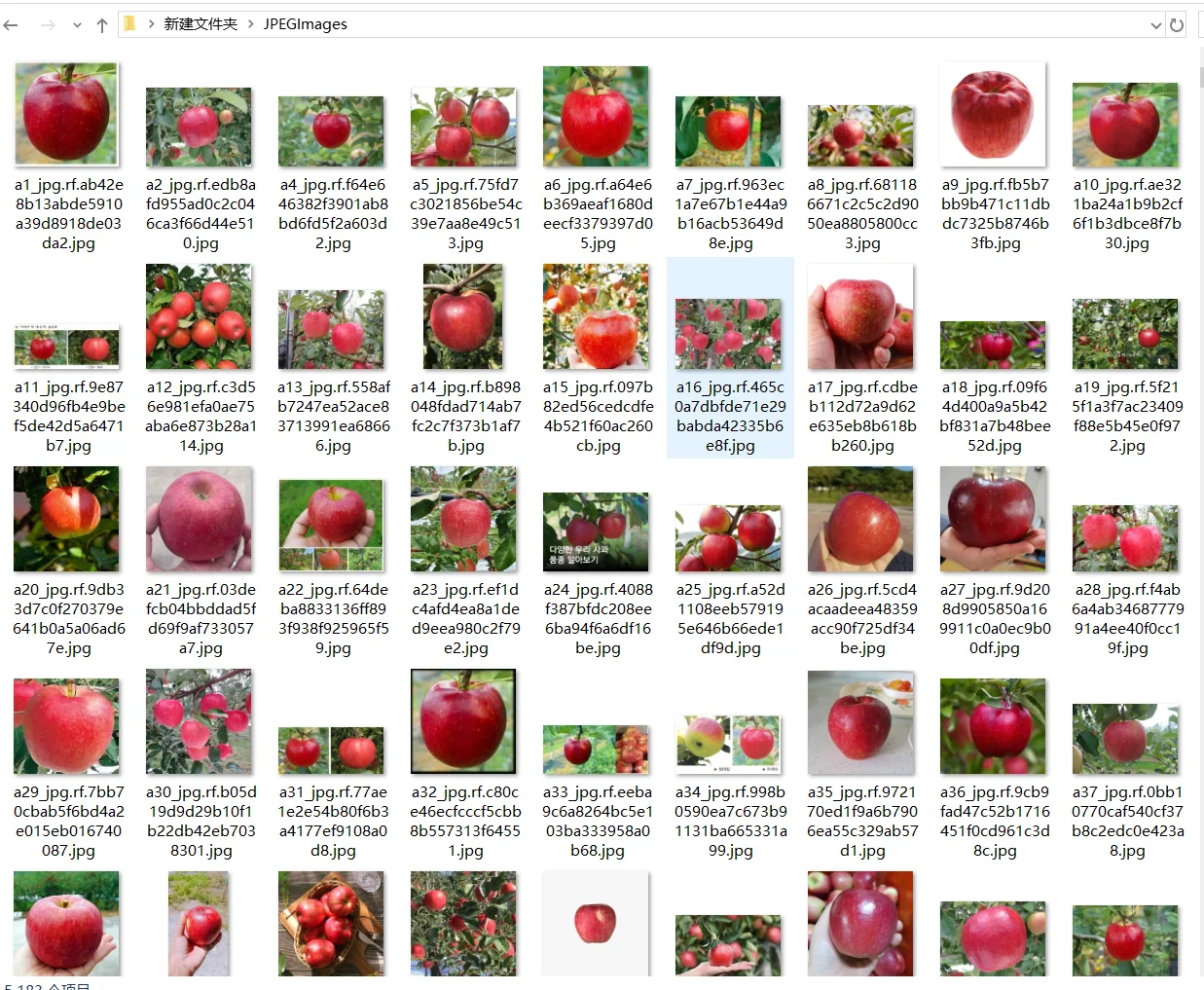 基于YOLOV8的苹果成熟度检测系统