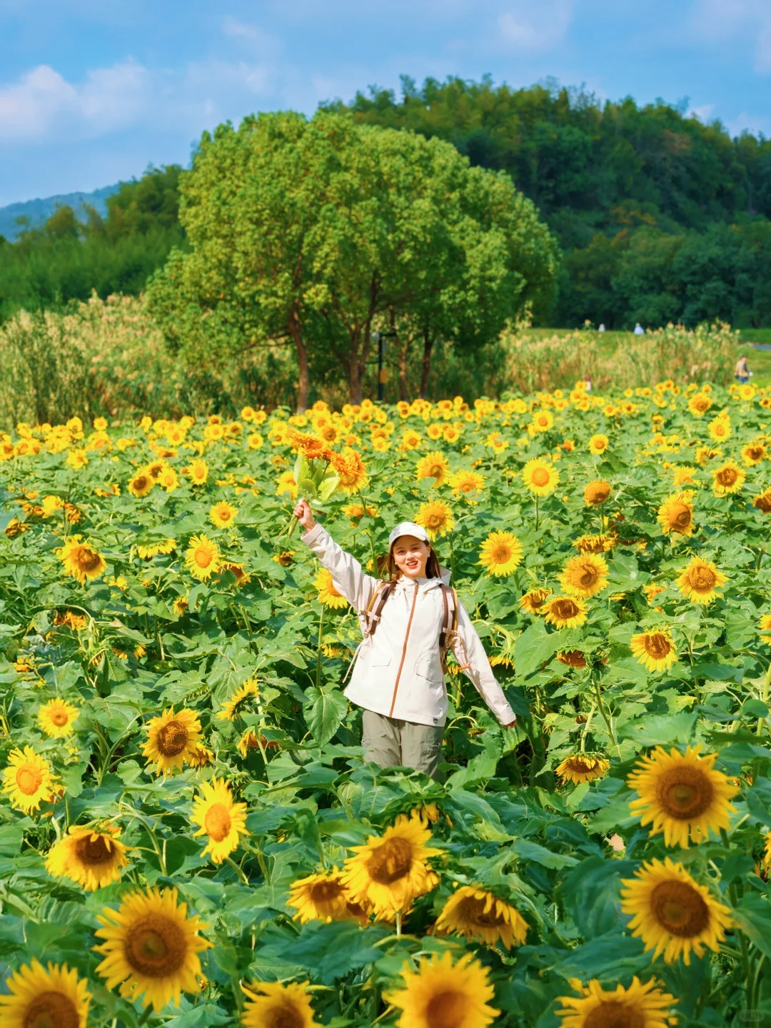 10.24🍂良渚的秋天好像油画啊‼️附拍照攻略
