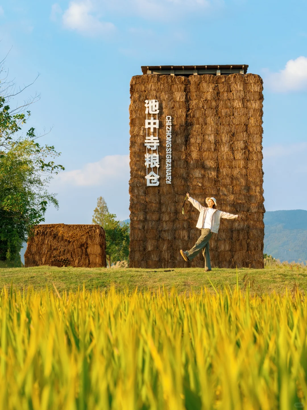 10.24🍂良渚的秋天好像油画啊‼️附拍照攻略