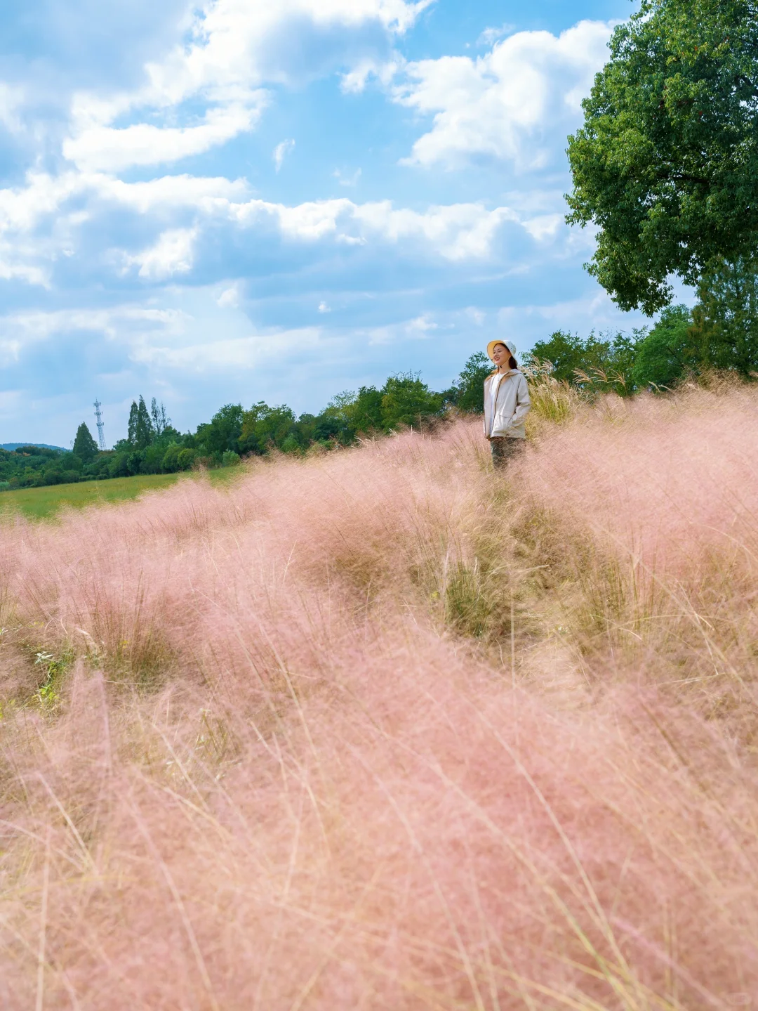 10.24🍂良渚的秋天好像油画啊‼️附拍照攻略