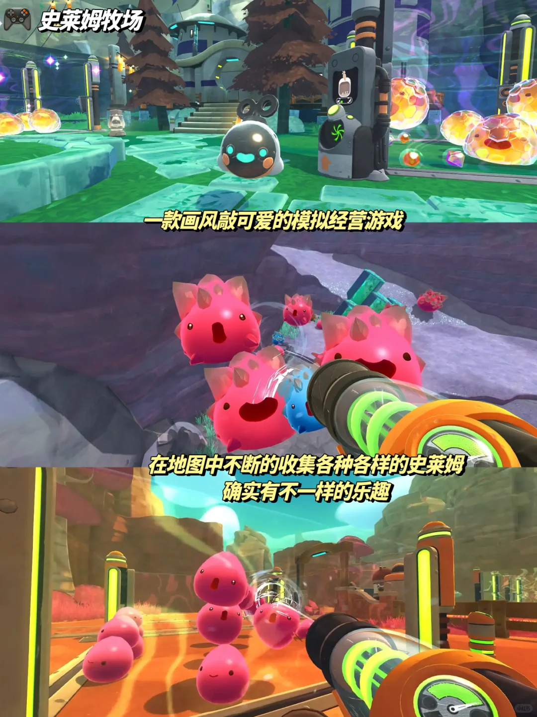 芜湖😍女生无法拒绝的游戏❗越玩越上头