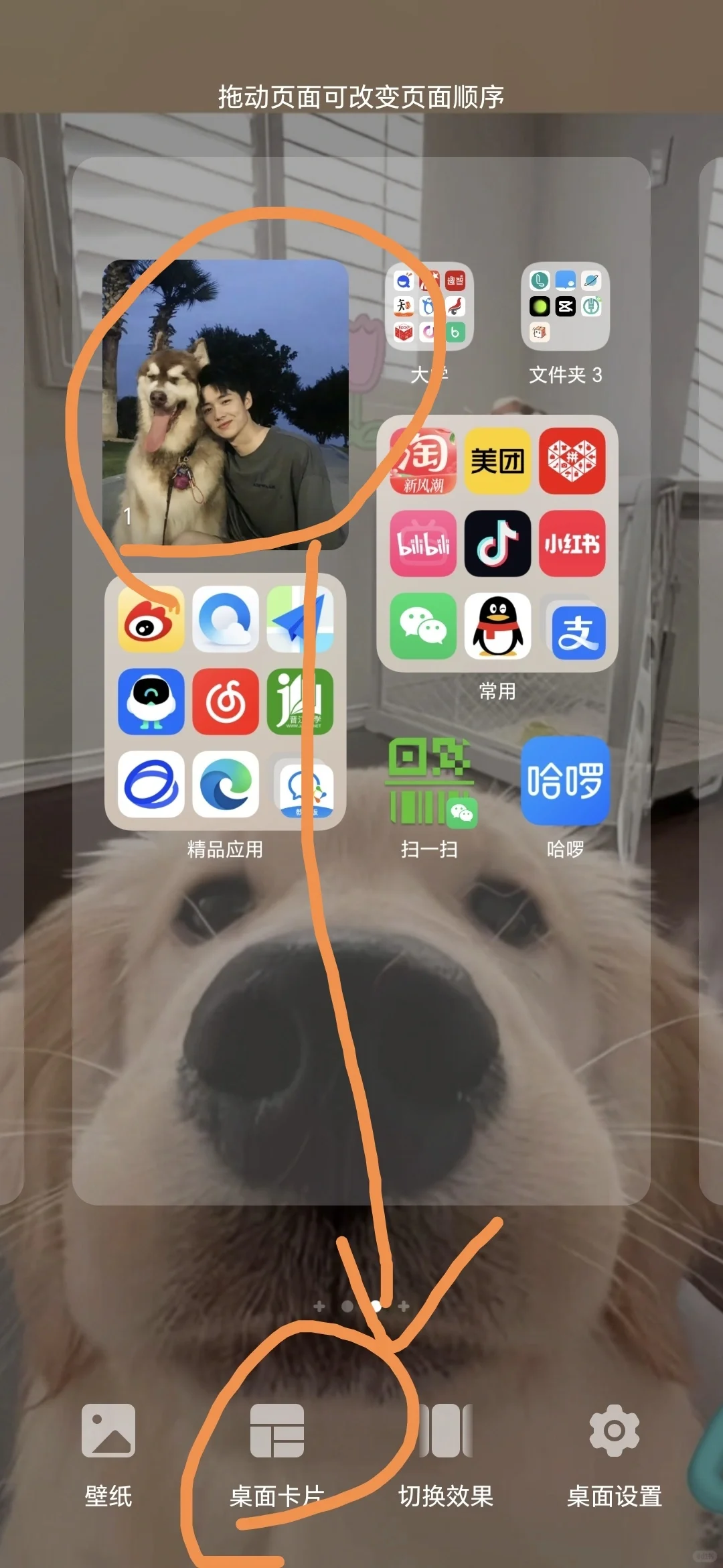 小红书最全的桌面布局