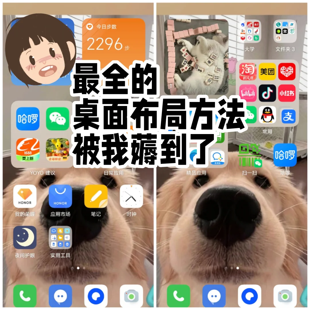 小红书最全的桌面布局