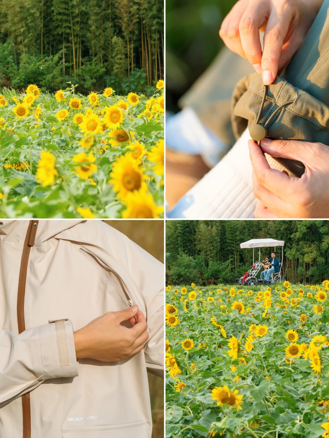 10.24🍂良渚的秋天好像油画啊‼️附拍照攻略