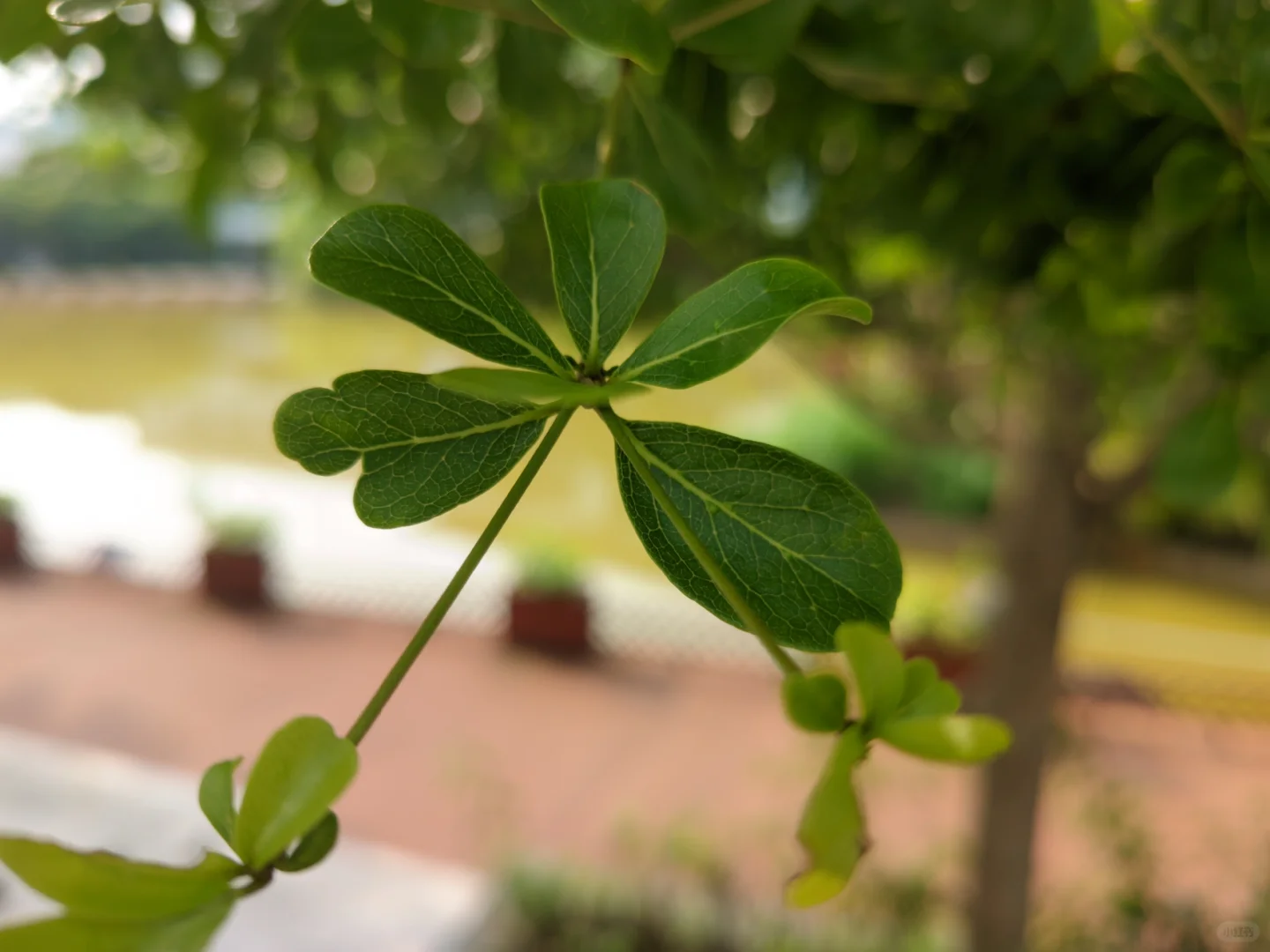 榨干小米10u的影像极限，你只需要装这些app