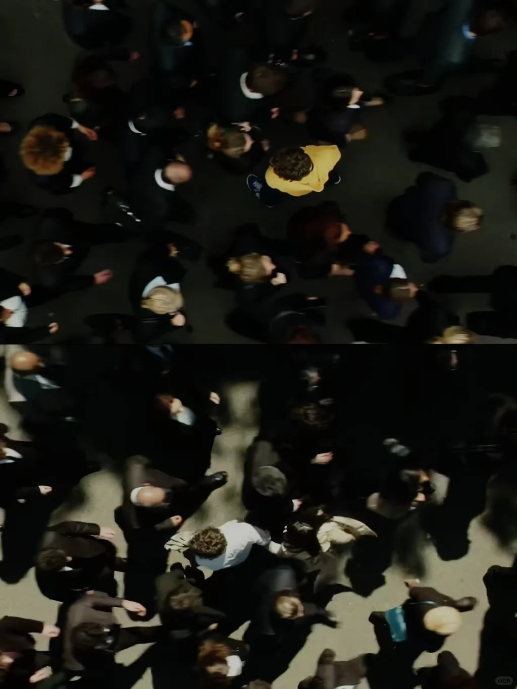 电影推荐Ⅰ人生的道路上偶尔停下来并不可耻