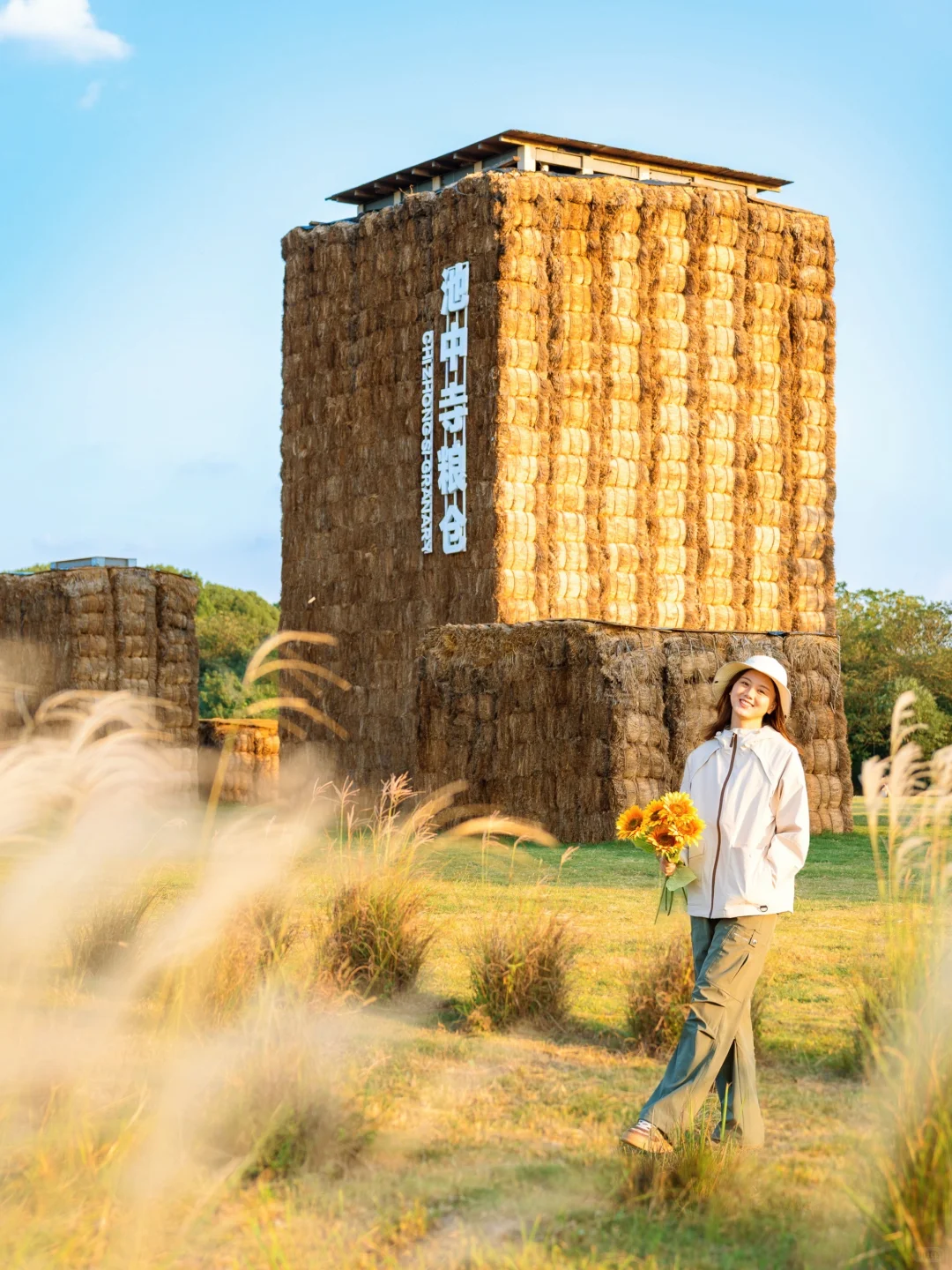 10.24🍂良渚的秋天好像油画啊‼️附拍照攻略