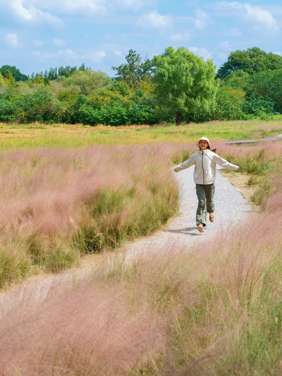 10.24🍂良渚的秋天好像油画啊‼️附拍照攻略