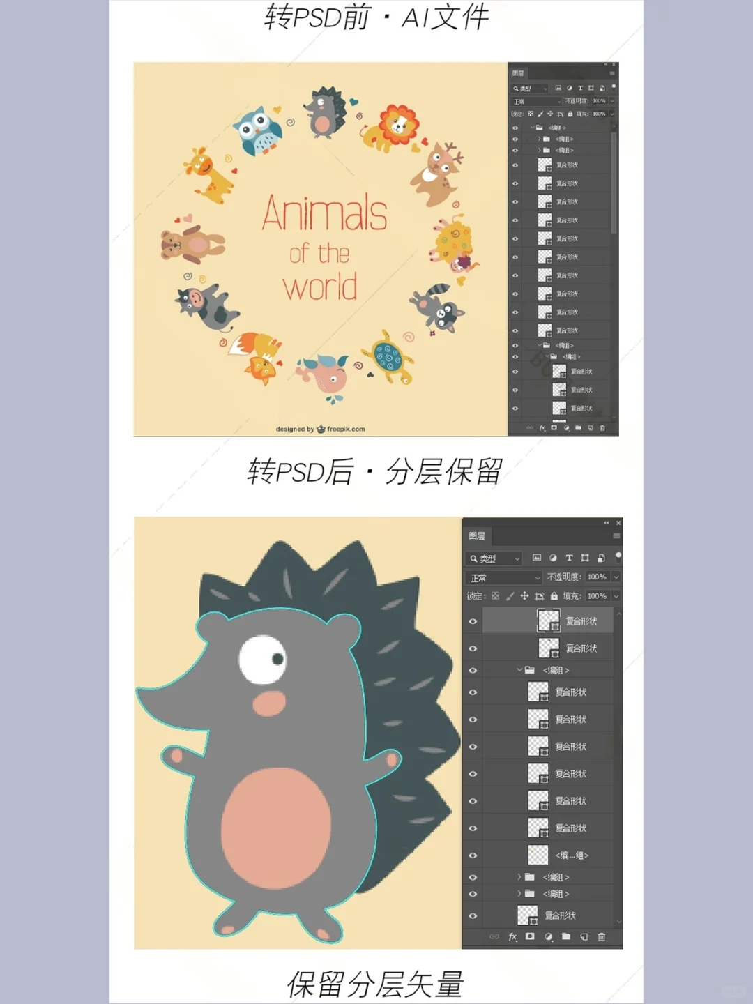 AI矢量转PSD脚本插件WINMAC分层