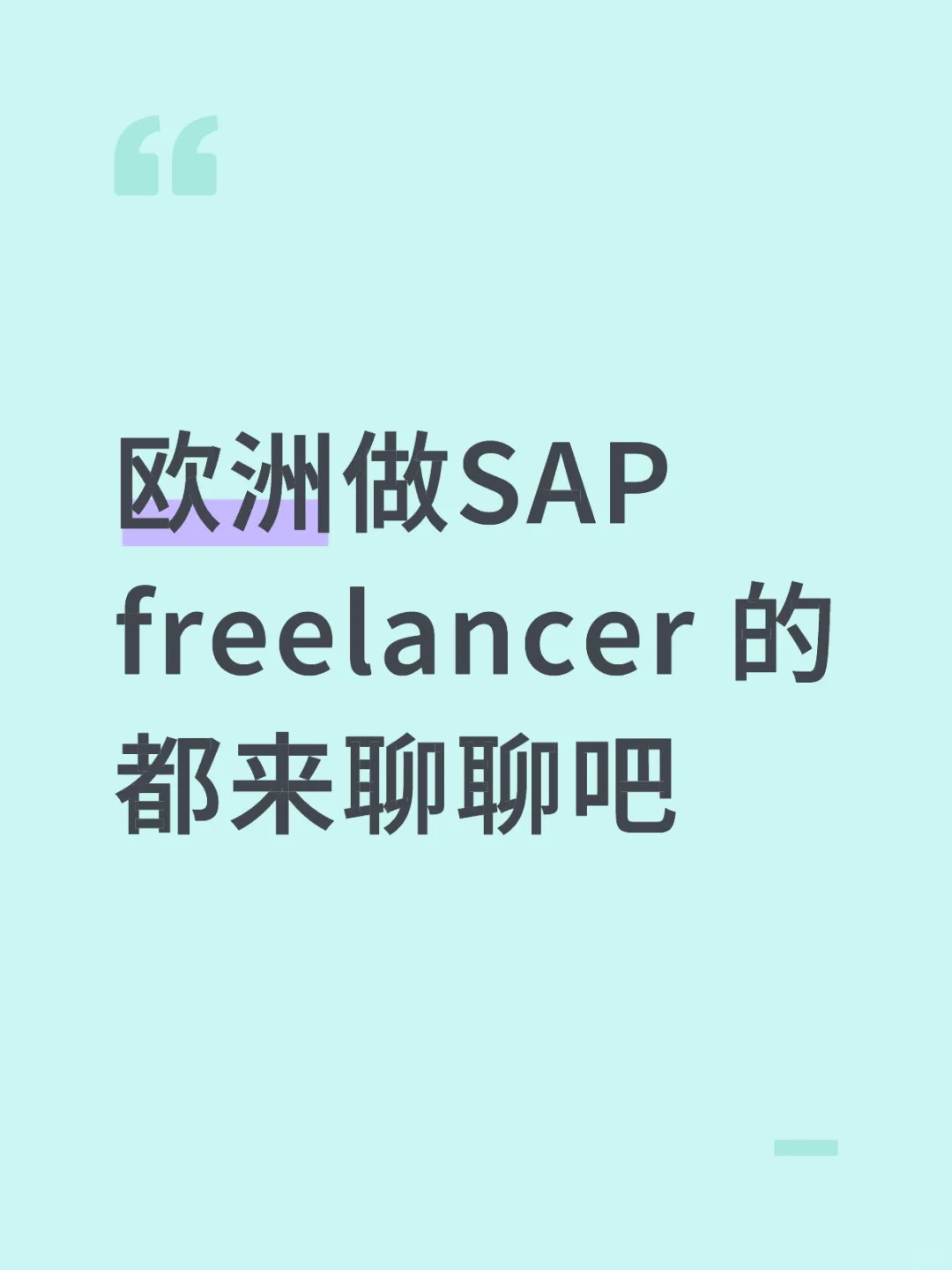 欧洲SAP顾问看过来啦