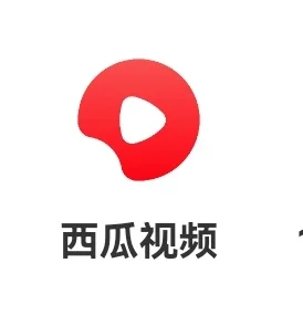 西瓜视频会员 7元 官方快充