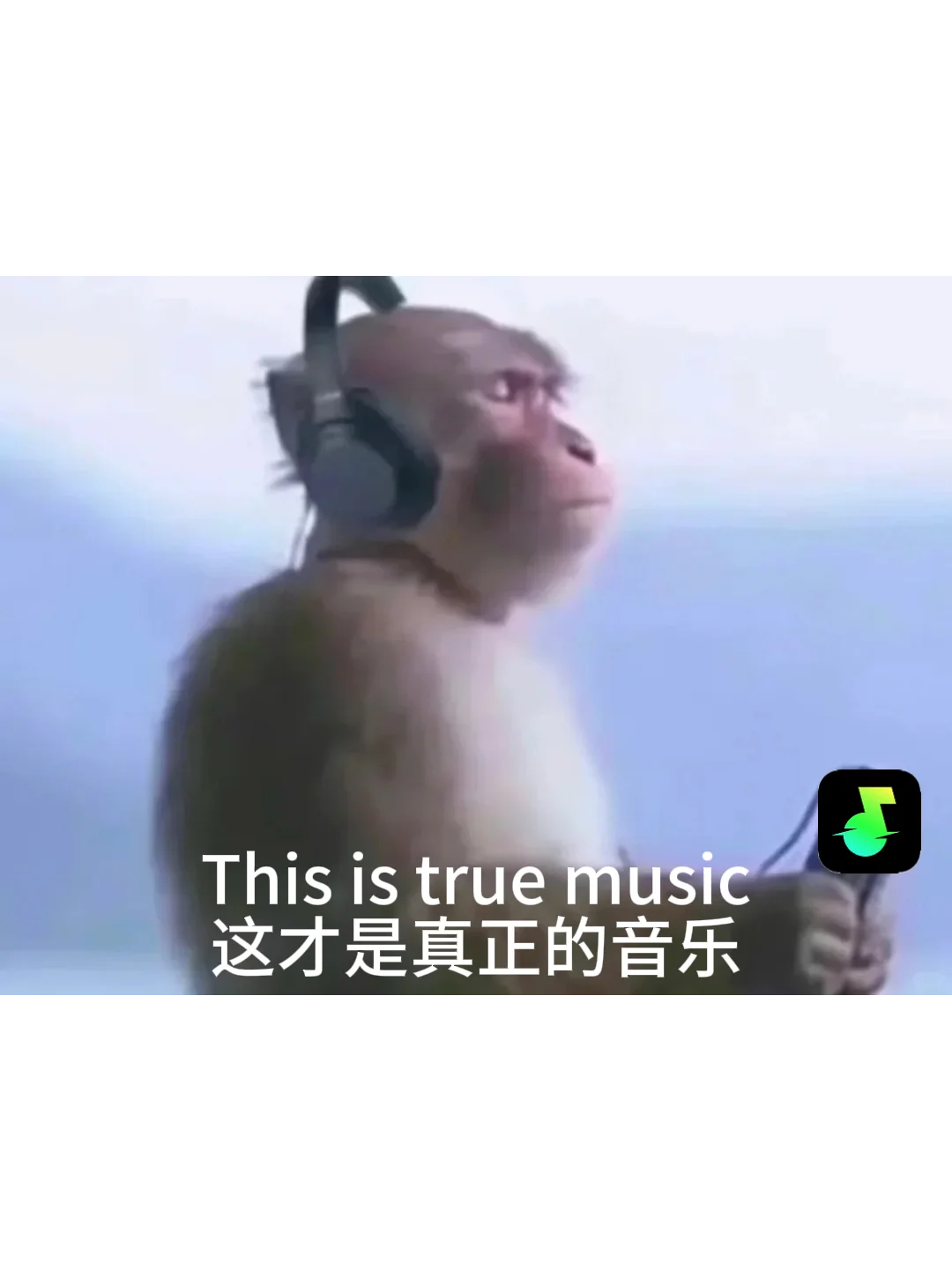 🎶家人们！免费听歌 APP，这波必须冲！