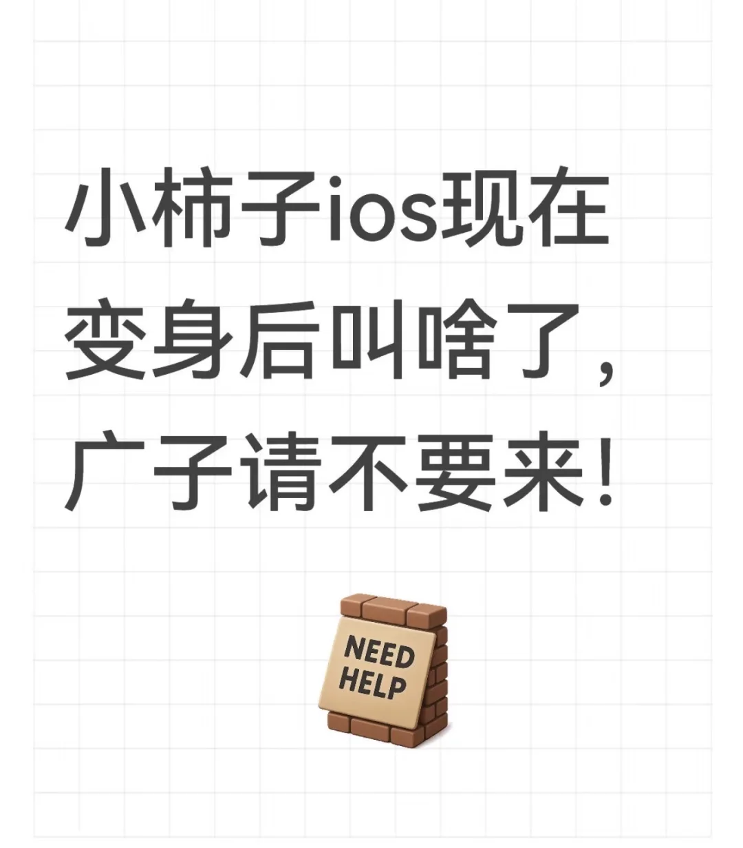小柿子ios