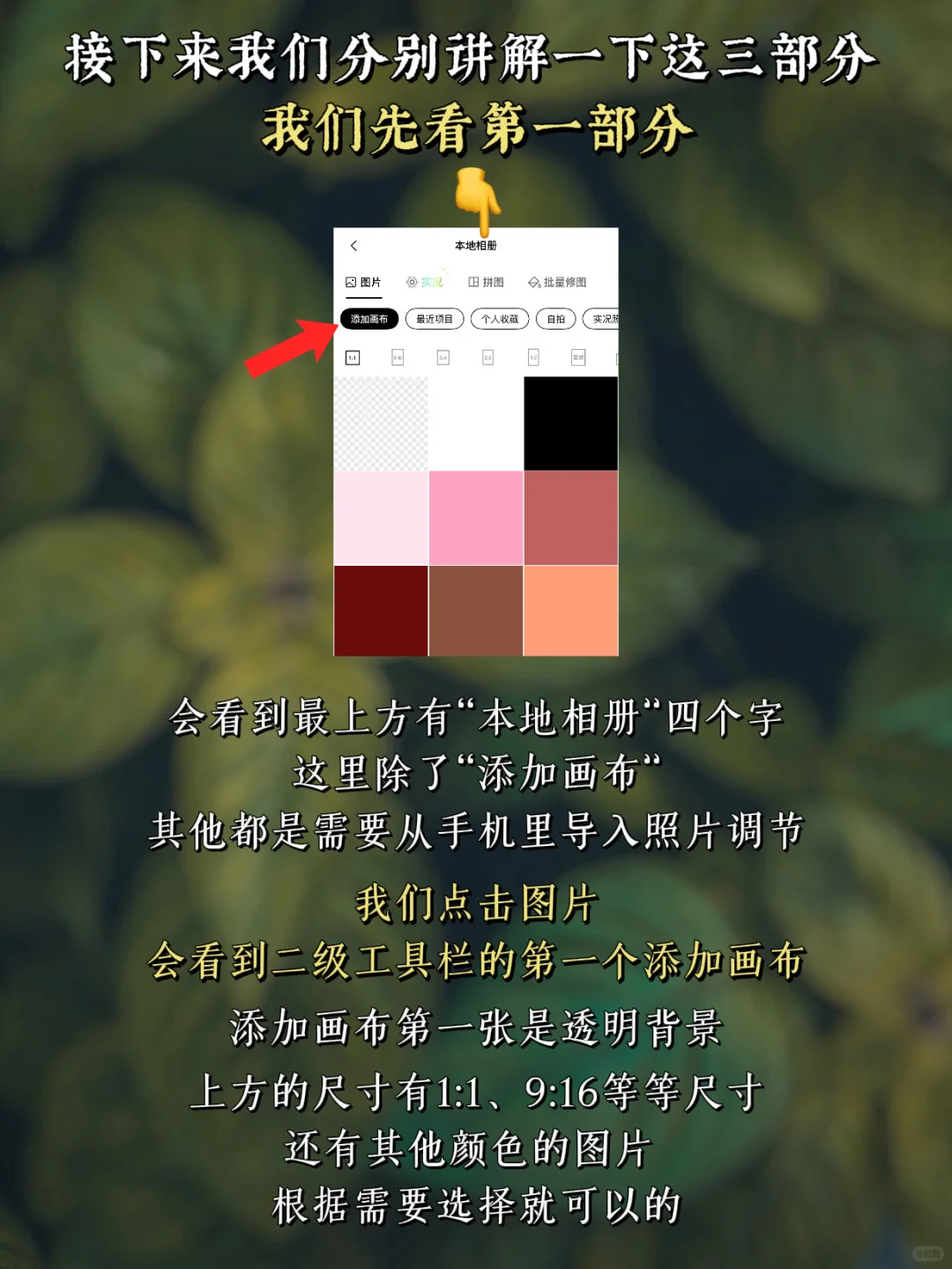 手机修图调色｜醒图 第一课 初步了解醒图