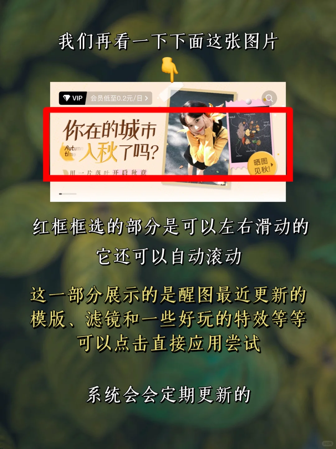 手机修图调色｜醒图 第一课 初步了解醒图