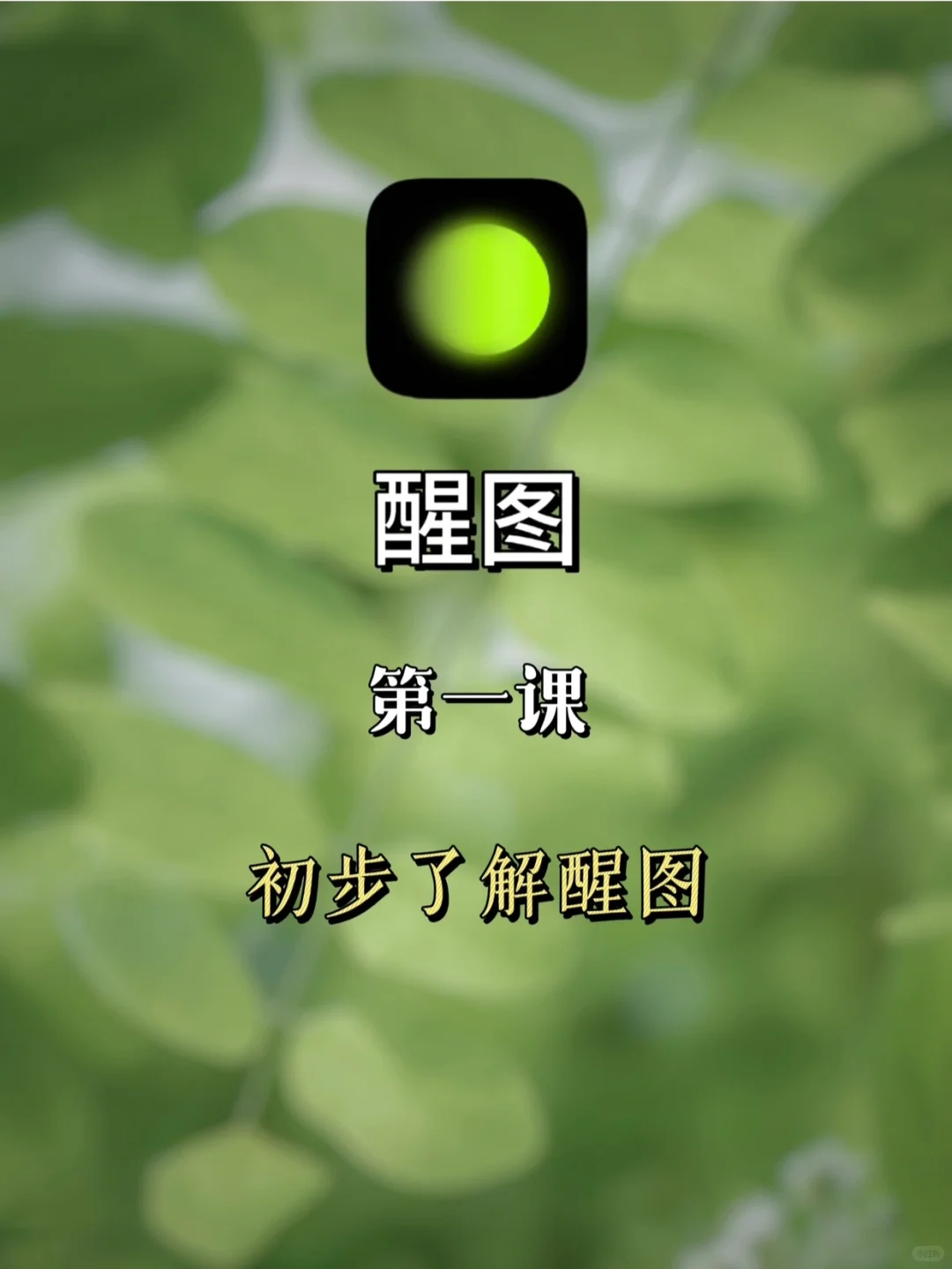 手机修图调色｜醒图 第一课 初步了解醒图