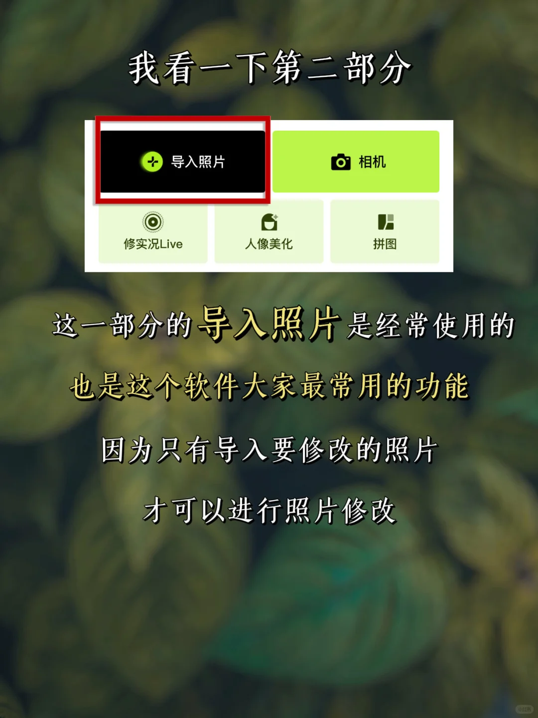 手机修图调色｜醒图 第一课 初步了解醒图