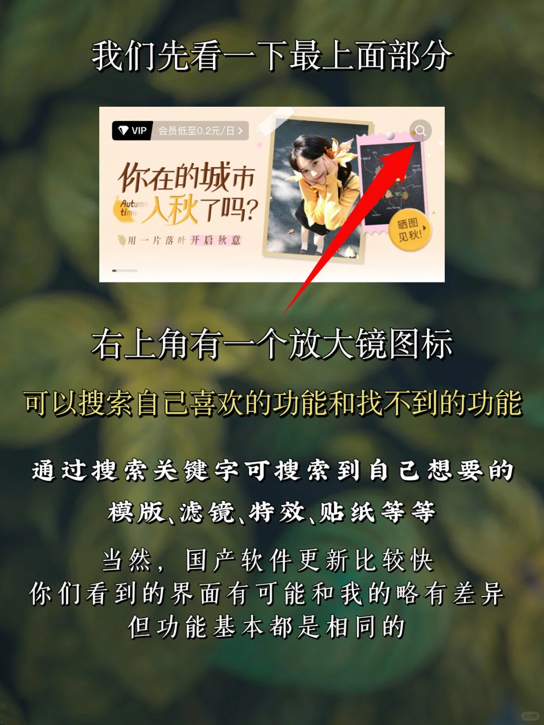 手机修图调色｜醒图 第一课 初步了解醒图