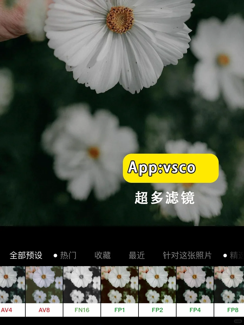 摄影师手机里的那些宝藏APP📲摄影修图全系