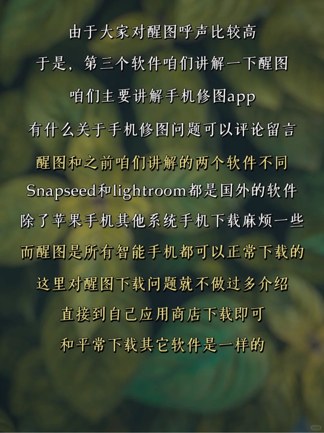 手机修图调色｜醒图 第一课 初步了解醒图