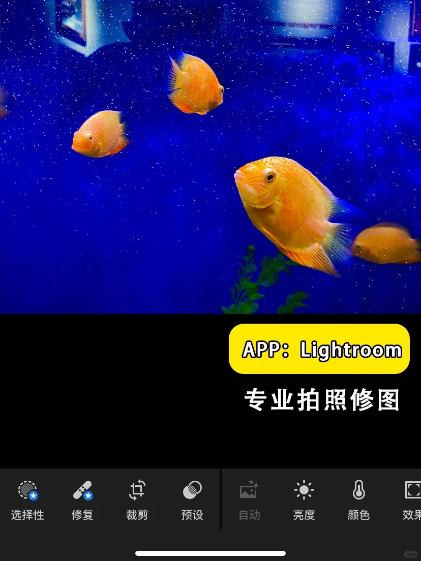 摄影师手机里的那些宝藏APP📲摄影修图全系