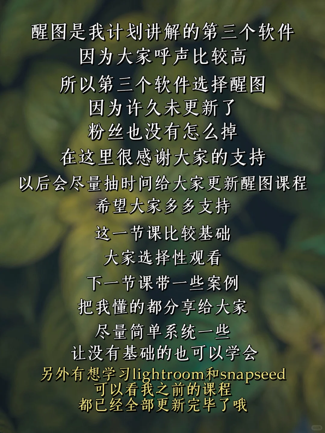 手机修图调色｜醒图 第一课 初步了解醒图