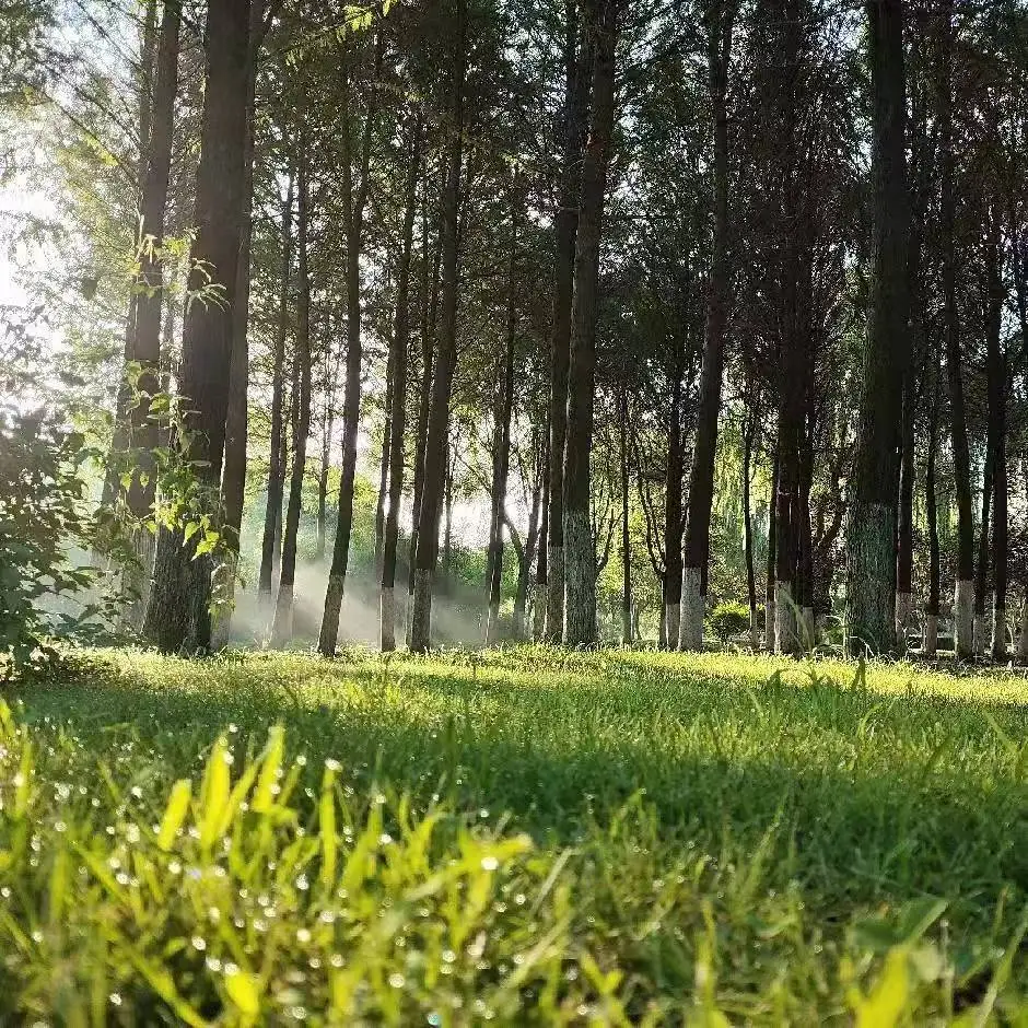 朋友们，我是青岛奥博管家婆软件的许国山。