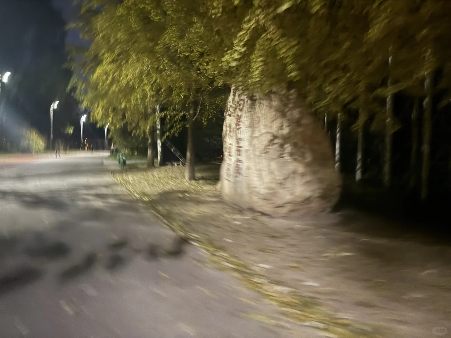 北顶奥森攀岩——点外卖攻略