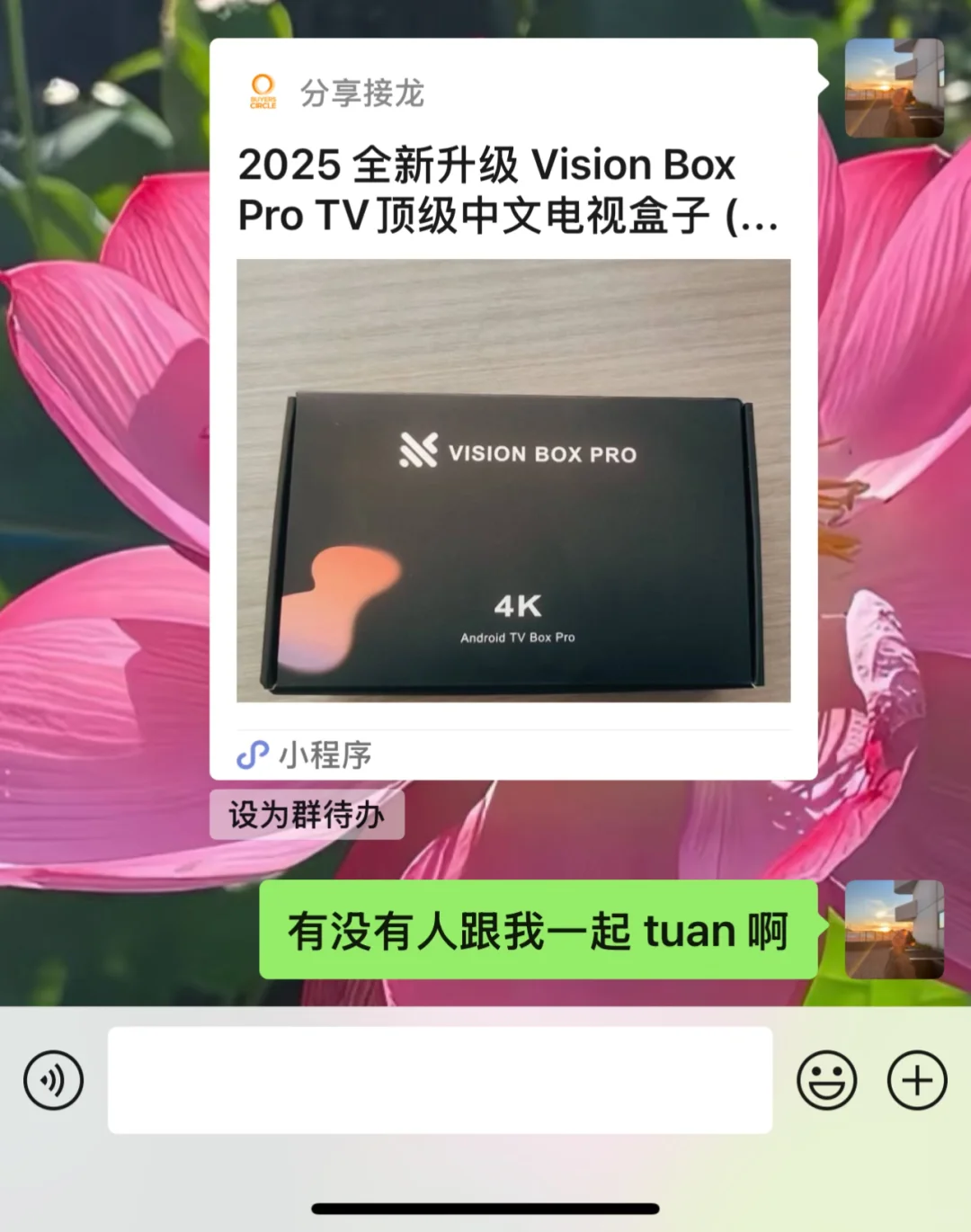 有没有人跟我一起 tuan 啊｜vision box pro