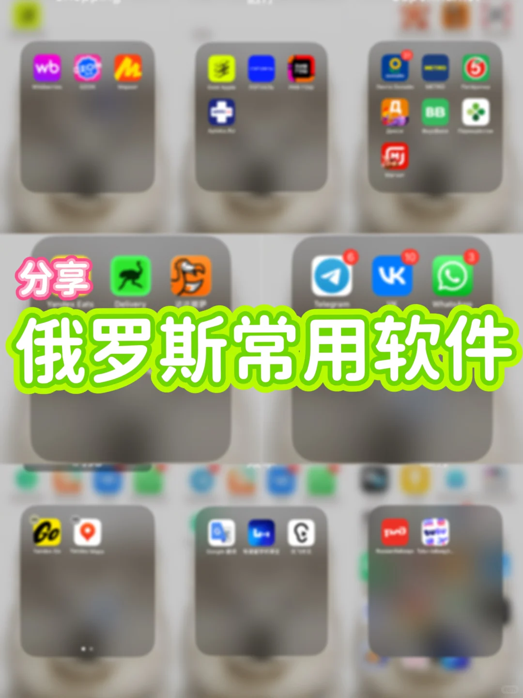 俄罗斯生活必备软件合集来啦📱