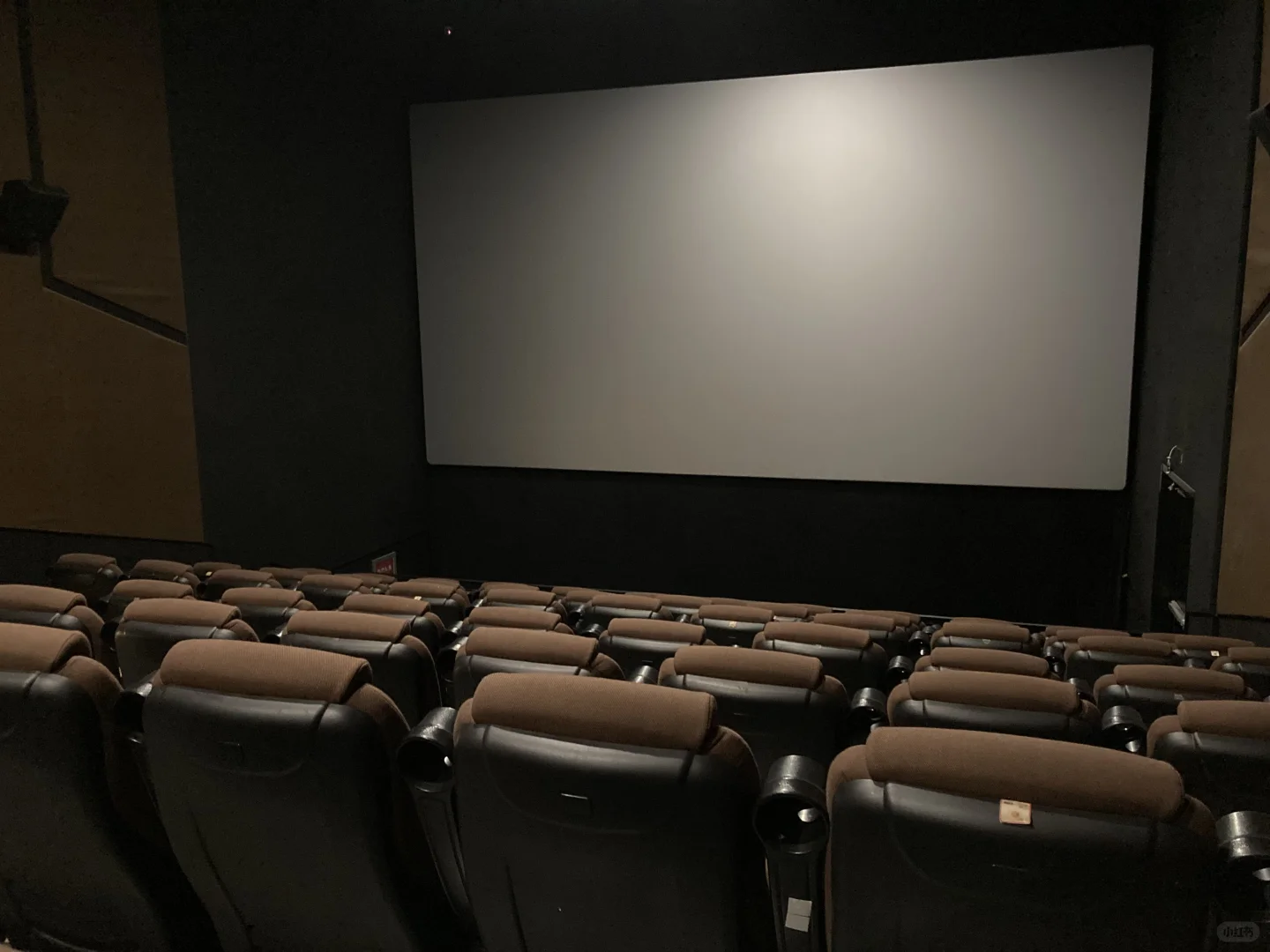 被影院小哥暖到 一个人看电影也有兔兔陪我