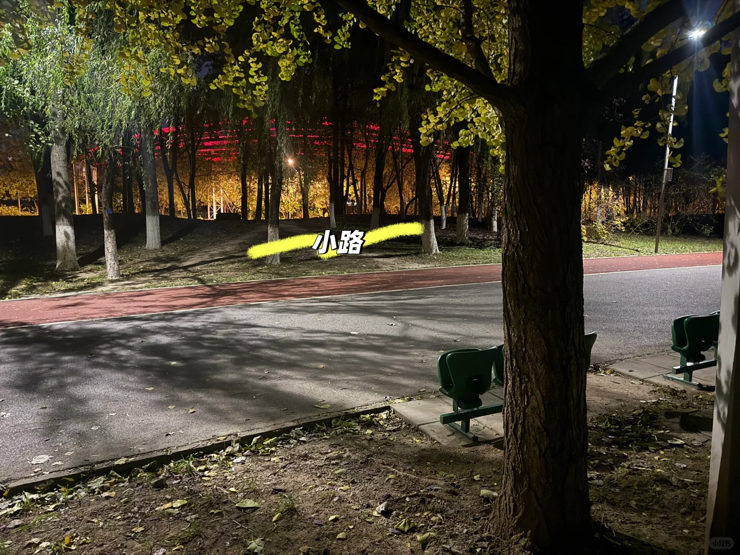 北顶奥森攀岩——点外卖攻略