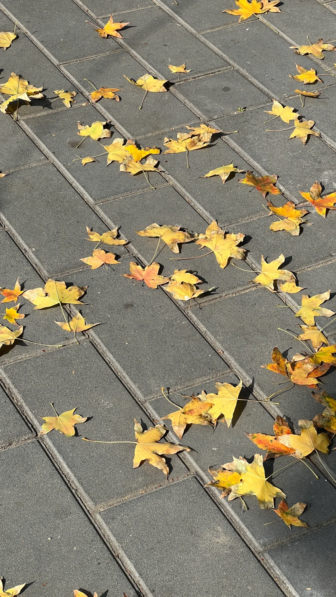 有人用过印象笔记这个软件嘛