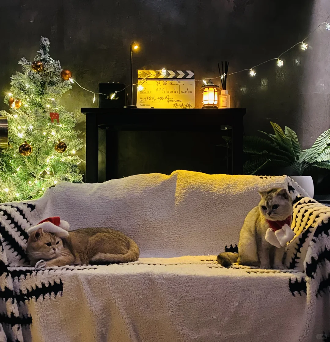 11.6 周四晚 秦昊《推拿》电影沙龙