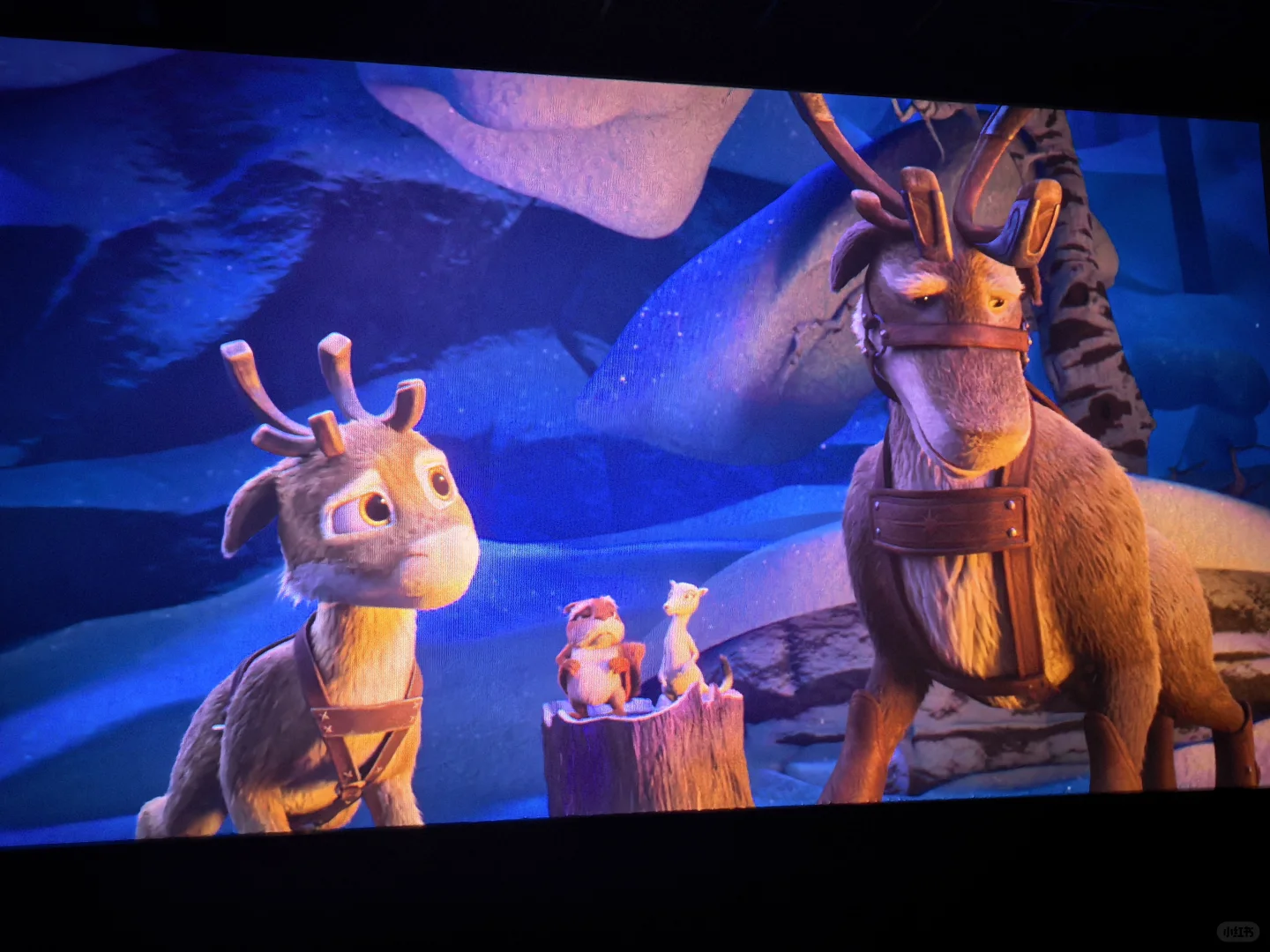 周末快乐｜电影之夜🎬