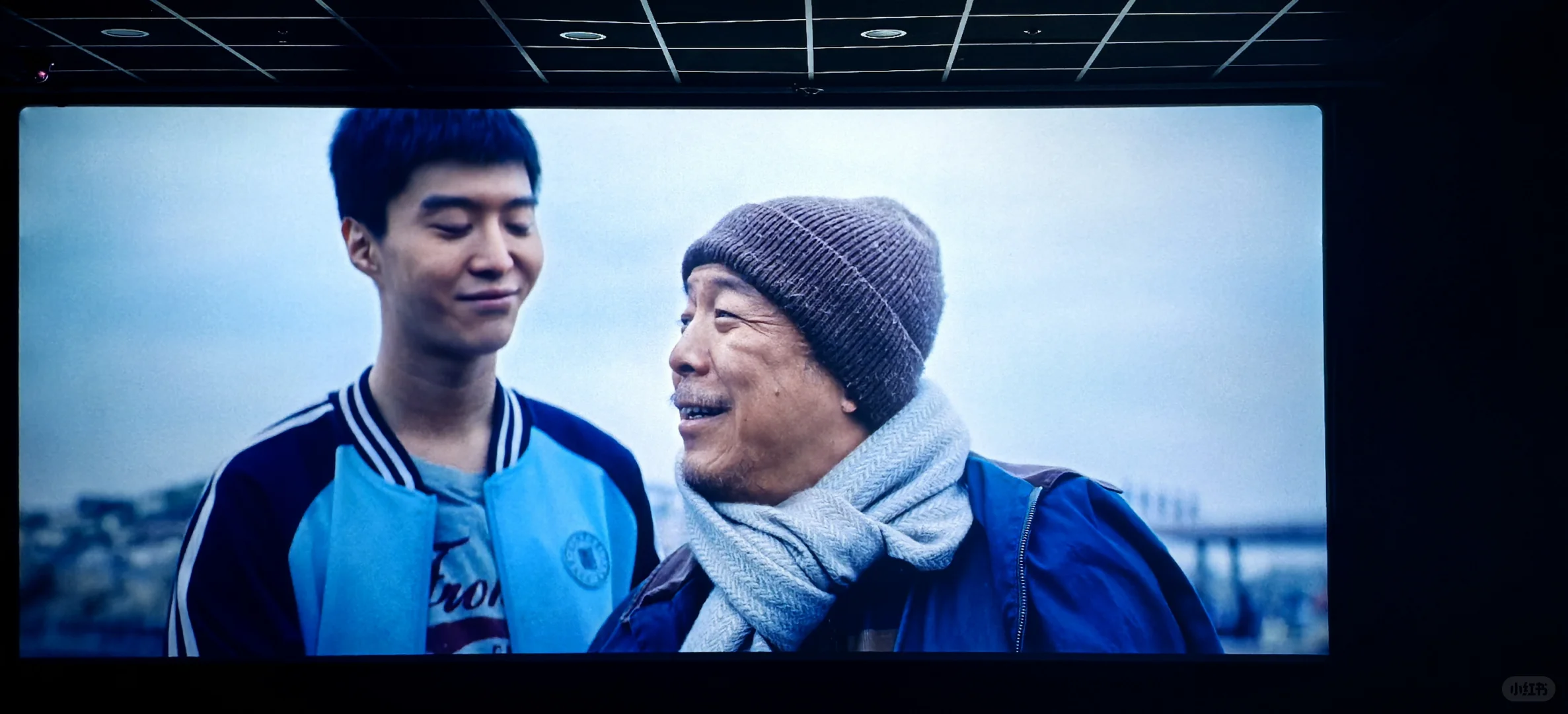 《浪浪人生》观后小感