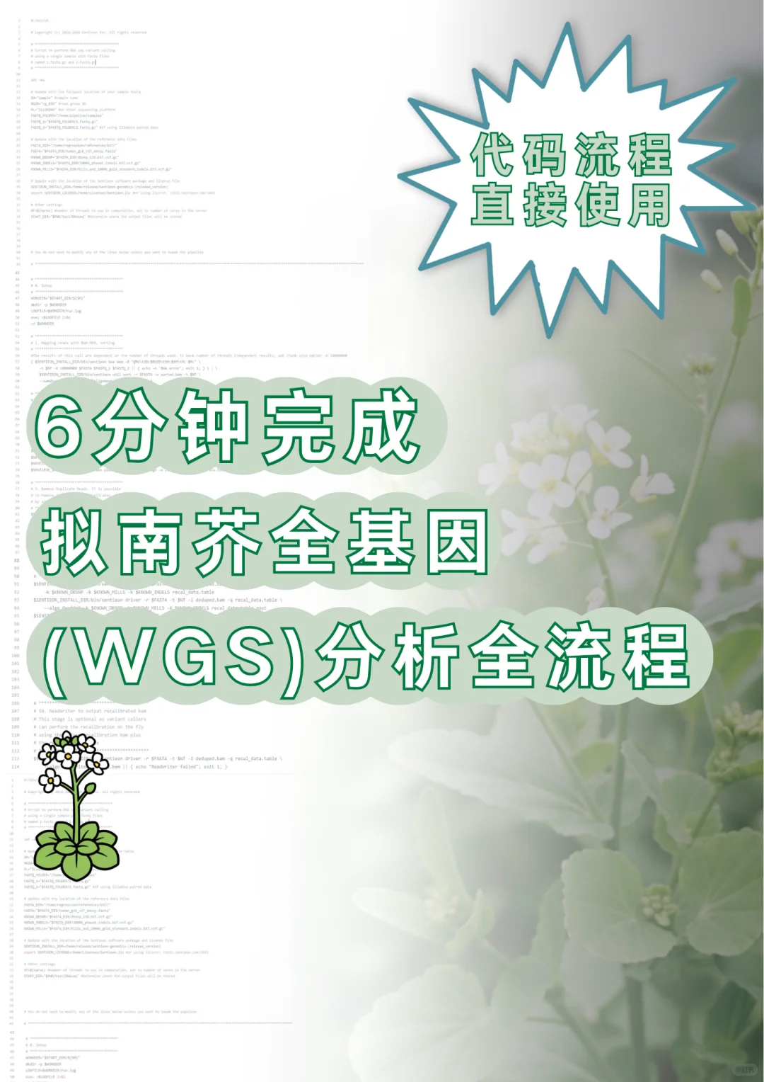 6️⃣分钟获得拟南芥的全基因组结果！