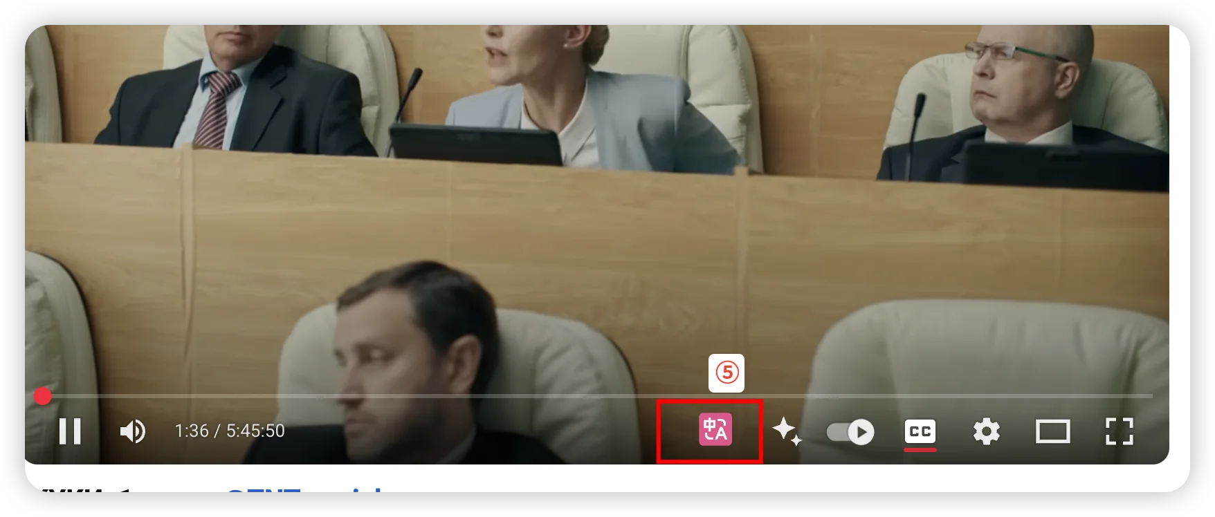 一个插件解决油管字幕下载和所有页面翻译