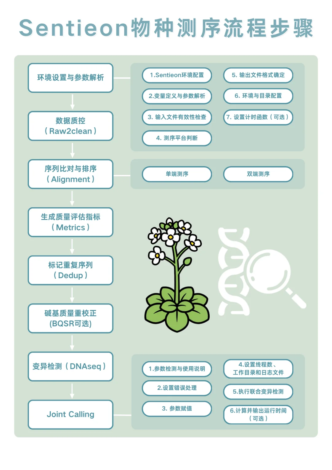 6️⃣分钟获得拟南芥的全基因组结果！