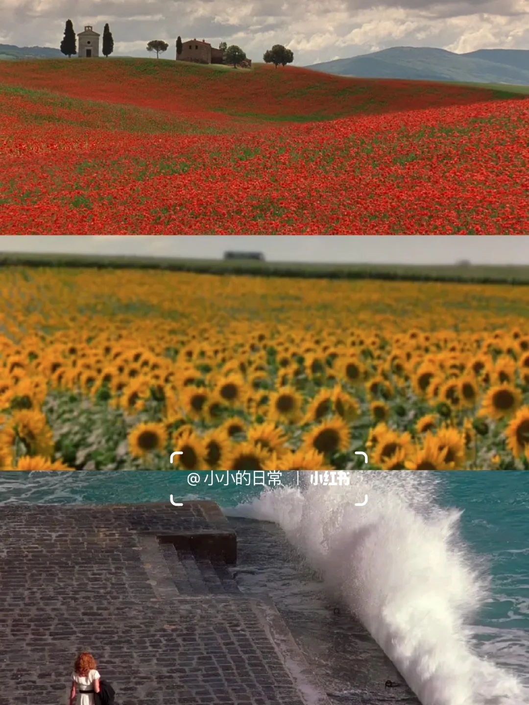 目前为止最爱的人生电影😭没有之一❗❗❗