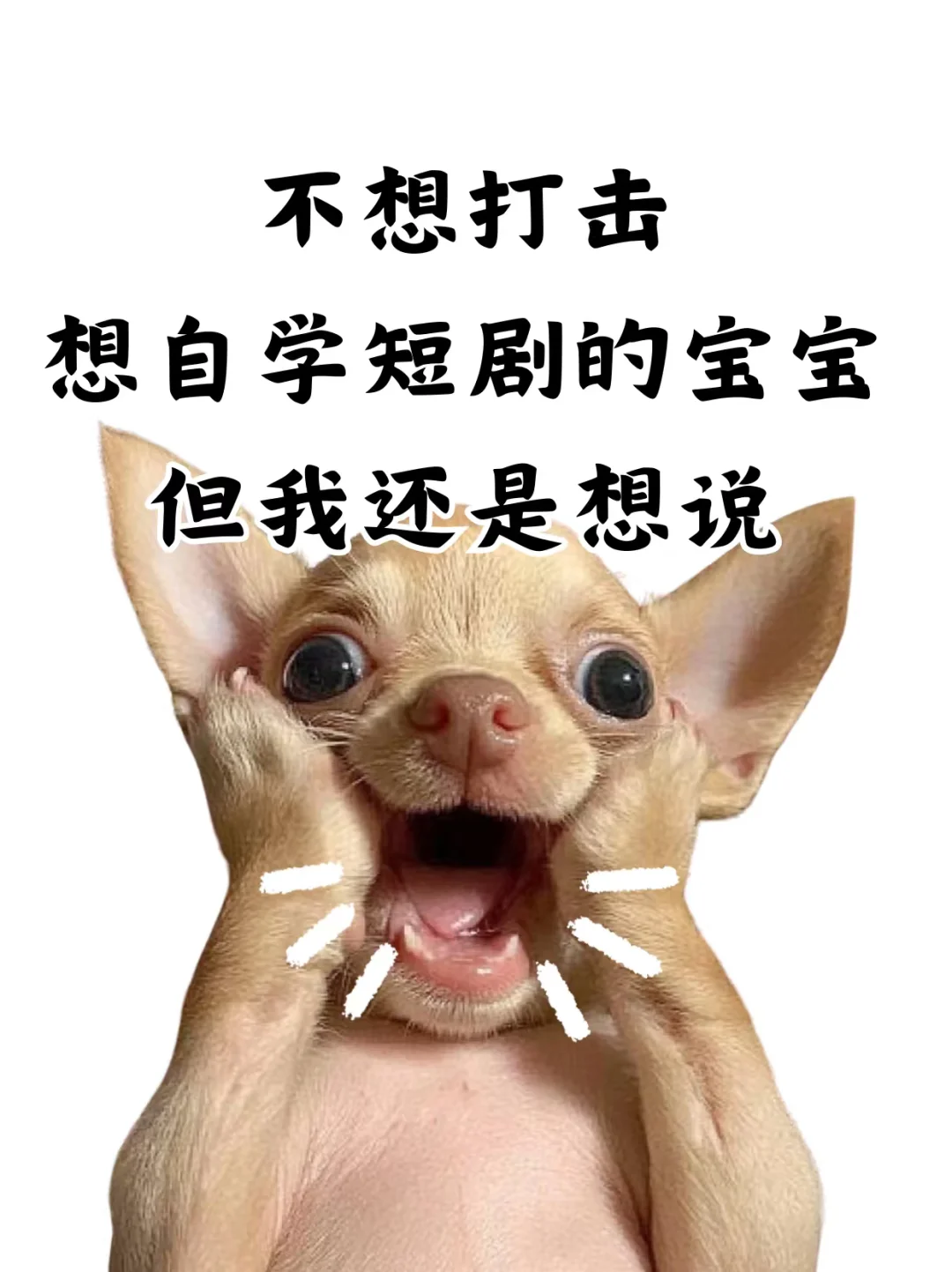 不想打击自学短剧剧本的宝，但是我还想说…