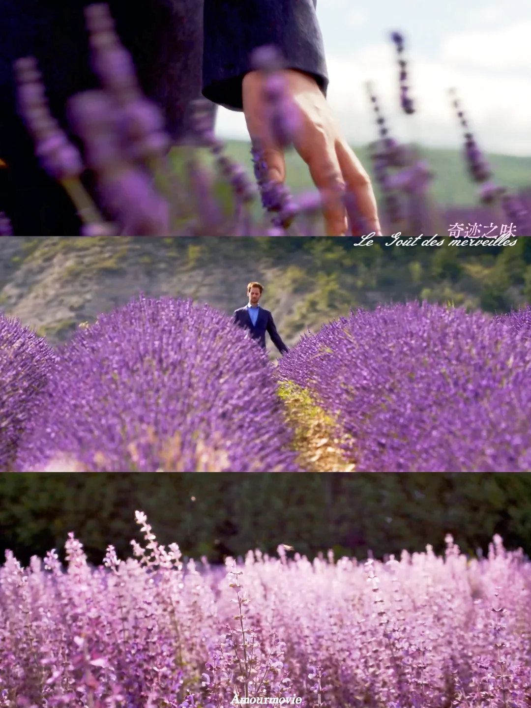 被工作压垮的那天，是这部电影紧紧拥抱了我