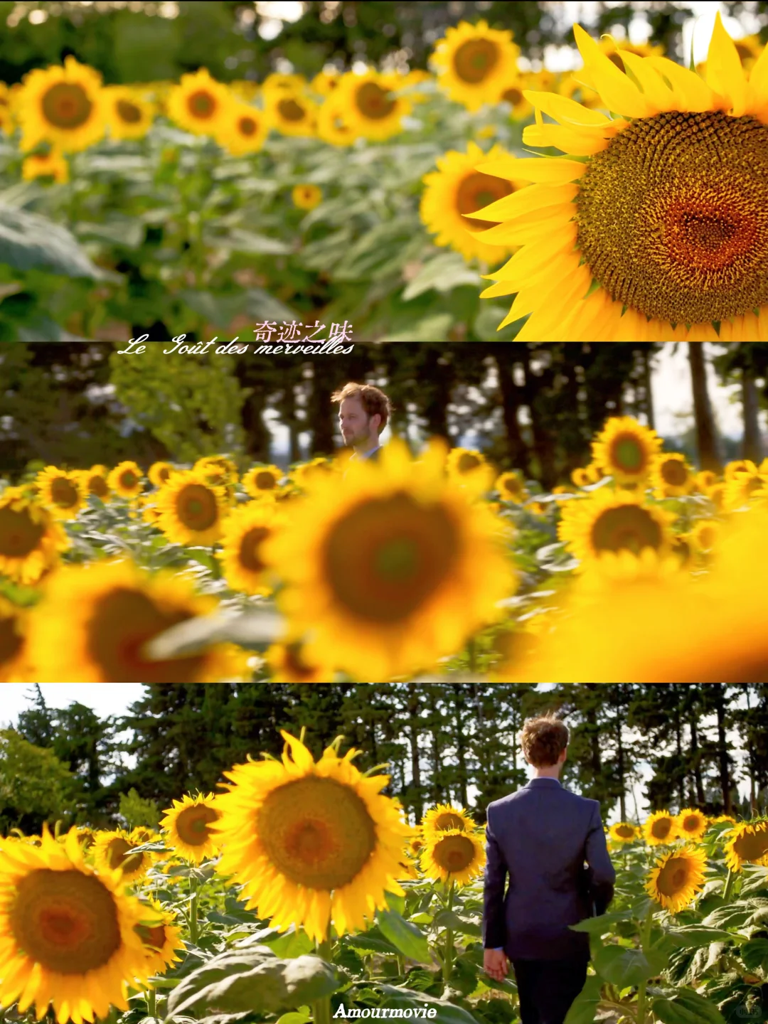 被工作压垮的那天，是这部电影紧紧拥抱了我