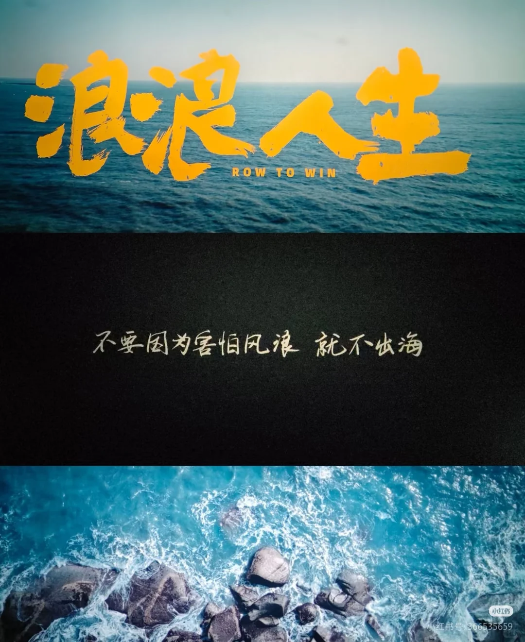 《浪浪人生》观后小感