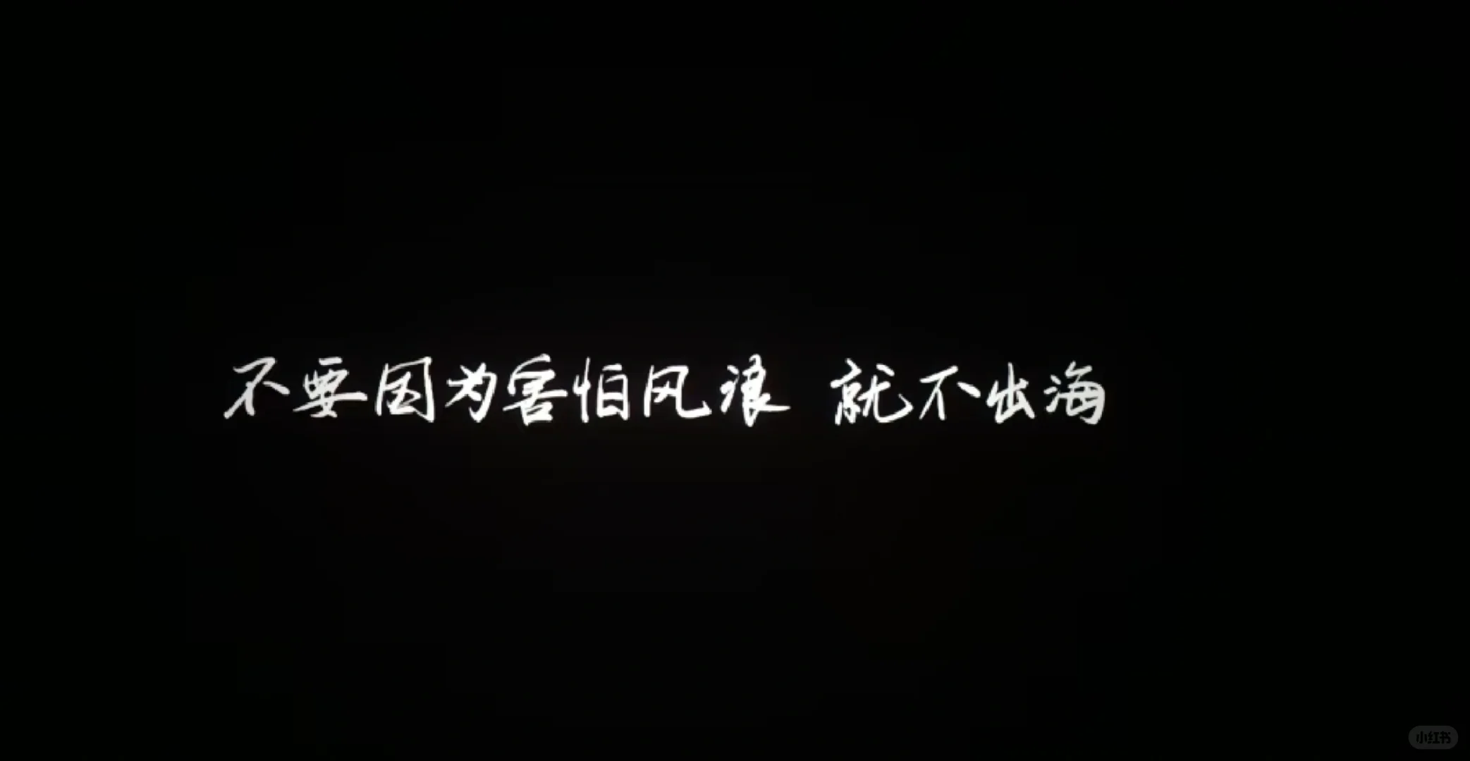《浪浪人生》观后小感