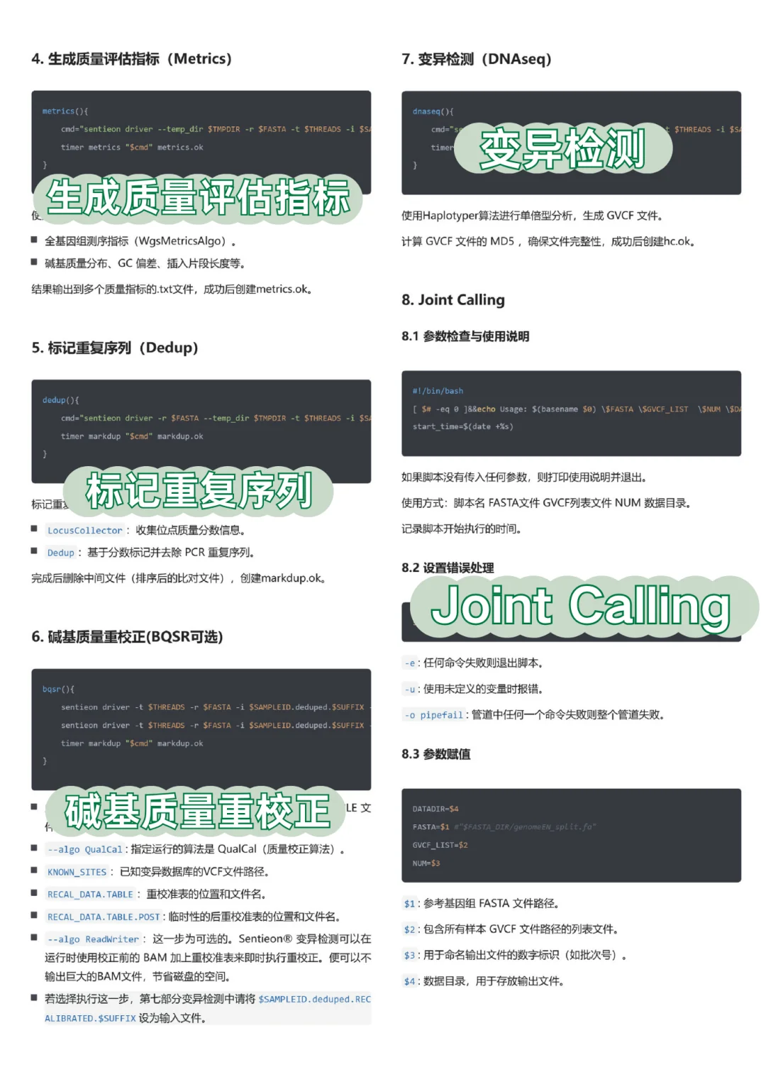 6️⃣分钟获得拟南芥的全基因组结果！