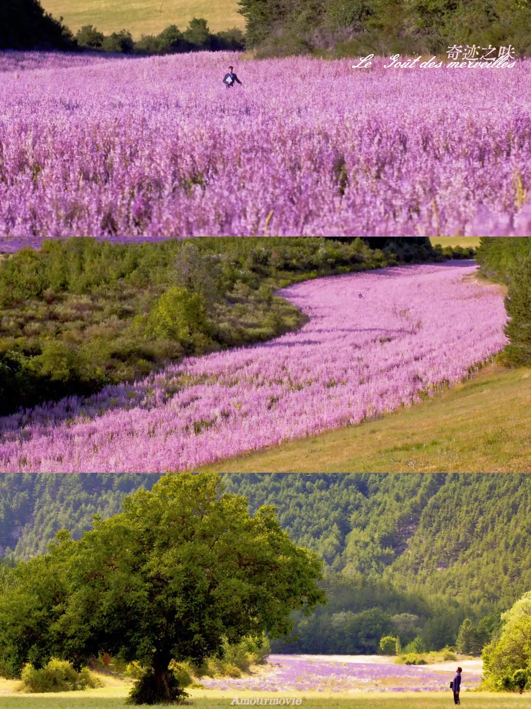 被工作压垮的那天，是这部电影紧紧拥抱了我