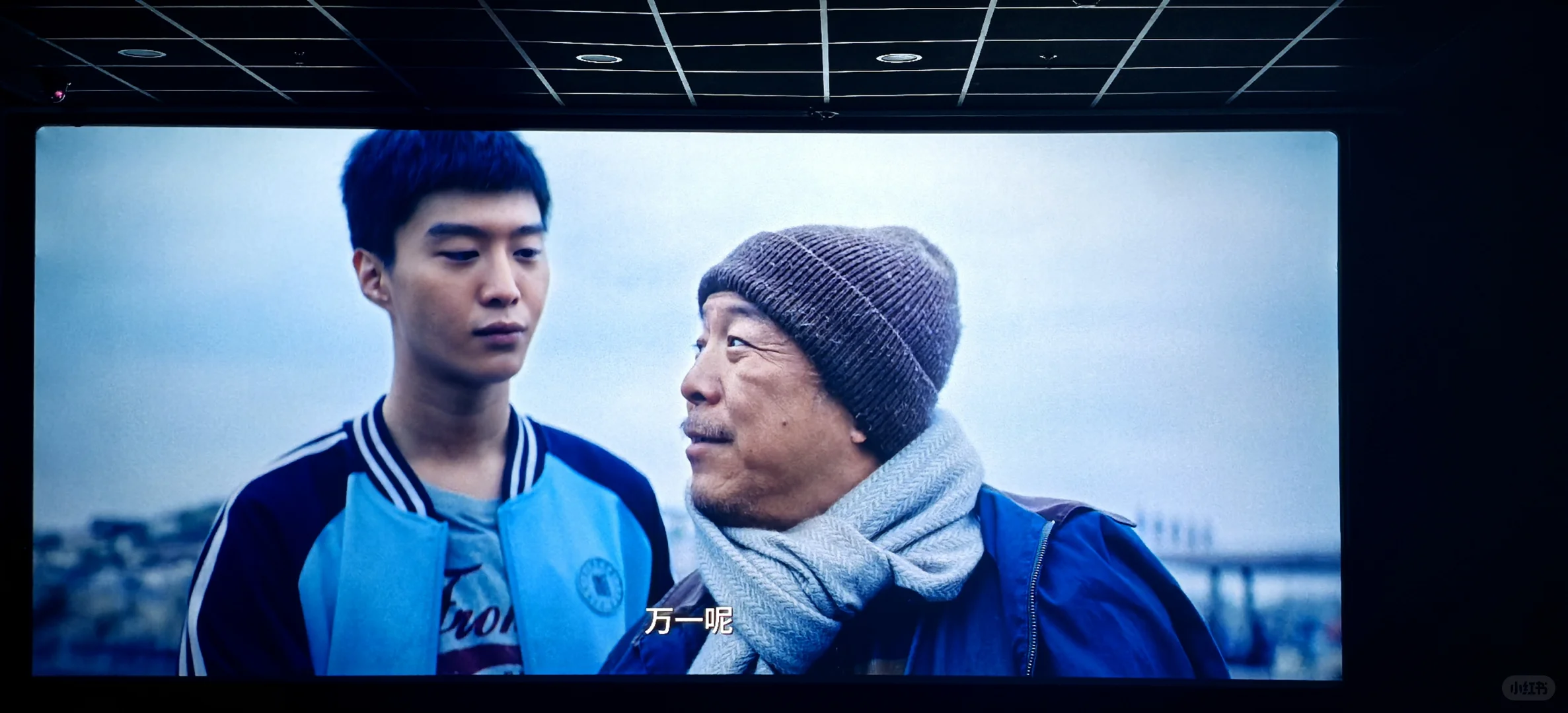 《浪浪人生》观后小感