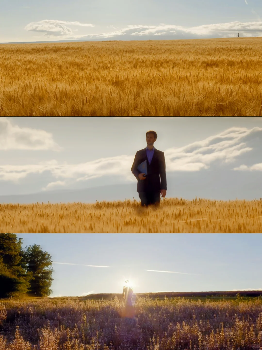 被工作压垮的那天，是这部电影紧紧拥抱了我